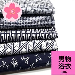 Item thumbnail for item 1ac1747b-7aa2-4471-94e6-ff30efefb91e