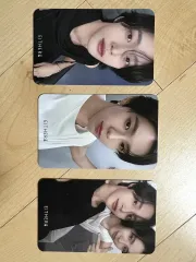 RIIZE（ライズ） ウォンビン(WONBIN) ショウタロウ(SHOTARO・大﨑 将太郎) イーザーアンド either& ティント トレカ コンサート Lucky draw ラキドロ