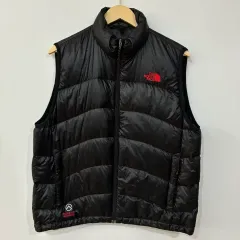 2010 THE NORTH FACE ザノースフェイス threetimes acorn サミット ベスト ダウン