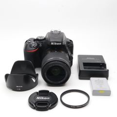 ショット数520 Nikon ニコン D5600 AF-Pダブルズームキット - メルカリ