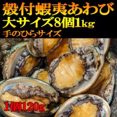 鳥取県産 砂丘 らっきょう bushi様専用 6kg M〜L - メルカリ