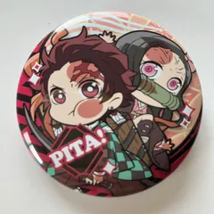 【N3】ぴた!でふぉめ 鬼滅の刃 缶バッジ Vol.2 竈門炭治郎&竈門禰豆子