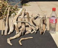 Item thumbnail for item 10bd194e-e2c4-4efb-b4b0-540915aad3cc