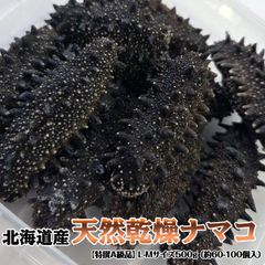 超棘棘！【Comura bultyncki】三葉虫 化石標本☆trilobite - メルカリ
