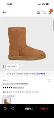 アグ UGG Classic ショーツ チェスナット 240