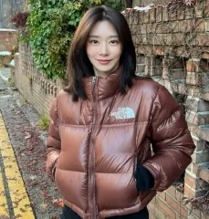 THE NORTH FACE ザノースフェイス Nuptse ヌプシ ブラウン (タグ無し新品)