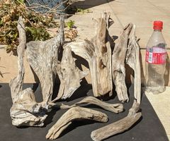 Item thumbnail for item 6bbe64df-2f05-41d6-8489-a9e09e3b5872