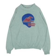 ヴィンテージ VINTAGE 90s FRUIT OF THE LOOM プリント スウェット トレーナー グレー系 サイズ表記なし【中古】