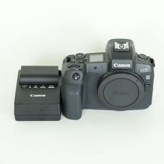 良品 | シャッター数185,790回] Nikon D500 [ボディ] | Nikon F