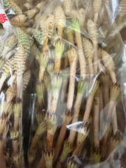 つくし 300g