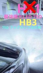 LED HB3 75D ヘッドライト ロービーム ハイビーム 超高出力6000k