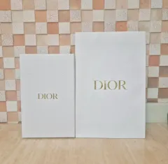 デパート正規品 ディオール ボックス+お買い物バッグ SET ディオール お買い物バッグ ディオール バッグ ディオール 靴