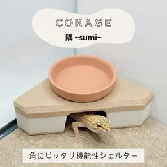 小型爬虫類シェルター ハンドメイド 本日20時にメルカリで新作公開します！ 横向きタイプのシェルターやお