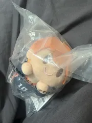 未開封) ハイキュー 10周年 一番くじ 日向 ぬいぐるみ D賞