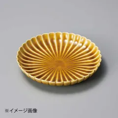 2026年最新】黄瀬戸 皿の人気アイテム - メルカリ