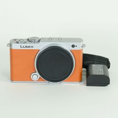 極美品》Panasonic LUMIX S9 本体 広角レンズ18-40 - メルカリ