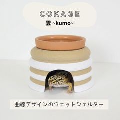 Item thumbnail for item adb3acc2-dbc4-4099-b0b1-518e3d015d6c