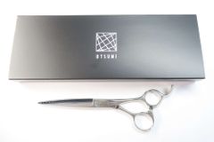 Item thumbnail for item ccaa0f82-b0e3-41b7-a814-cc00419690ca