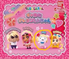 クレヨンしんちゃん ギャル シロ