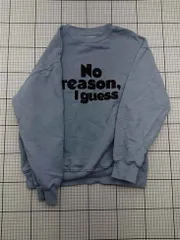 ◇ ⊇ ザラ ZARA No reason, I guess スウェット トレーナー 13-14歳 164cm キッズ ブルー系 E  【1603090017621】