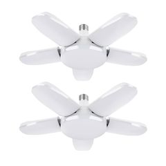 Item thumbnail for item f8b95608-a178-4852-87cc-6207c3acd0d9