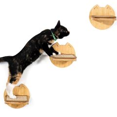 Item thumbnail for item 849def3a-614c-4dcf-8383-e1a13c976e9f