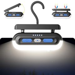 Item thumbnail for item f558754d-3dee-486a-bd31-19489a06575b