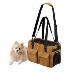 Item thumbnail for item 32293237-c3f5-407c-b63b-a8e41201dbc6