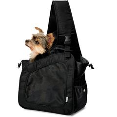 Item thumbnail for item 049a6238-0496-480c-88cb-ae56be929fc5