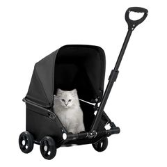 Item thumbnail for item 4b538d51-2b60-4556-b7c1-21a6be444111