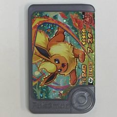 ポケモンカードダス アニメコレクション 結晶塔の帝王 エンテイ対