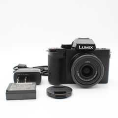Panasonic LUMIX DC-G100D 充電器、メモリーカードセット Panasonic LUMIX DC-G100D 充電器、メモリーカードセット - メルカリ