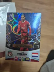 リヴァプール ヴァン・ダイク 限定モデル サッカー カード パニーニ シグネチャー