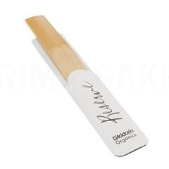 Item thumbnail for item eccd9d23-c947-44ab-a4f2-f34a01056fd8