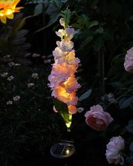 Item thumbnail for item 1454fd84-a136-4585-9db2-4e0e0bf8ed4c