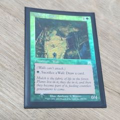 MTG 根囲いの壁 foil
