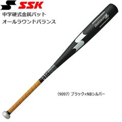 SSK 田中浩康選手 ヤクルト時代 実使用 木製バット プロ支給品 NPB公認
