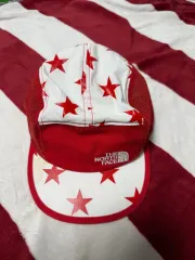 THE NORTH FACE ザノースフェイス ヴィンテージ スナップバック