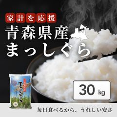 幻のお米　令和7年『いのちの壱』　岐阜産　新米　玄米(精米可)３０kg　送料無料 食品・飲料・お酒 : 5kg 令和7年産 精米 いのちの壱 Amazon.co.jp: 米・雑穀・粉類
