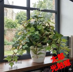 光触媒 人工観葉植物 ウォールグリーン フェイクグリーン 