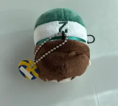 ハイキュー もちころりん もちマス 二口