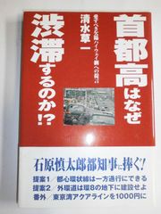 超希少】月刊ヤングマガジン 新川優愛 - メルカリ