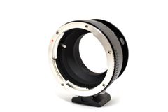 Item thumbnail for item 024858ba-2440-4bd7-9908-f904faa5c7cc