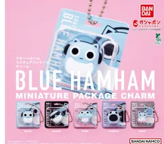 ブルーハムハム ミニチュアパッケージチャーム 全5種セット
