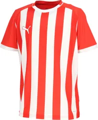 プーマ PUMA サッカー TEAMLIGA26 ストライプ ゲームシャツ メンズ 男性 Tシャツ トップス 軽量 耐久性 吸水速乾 ドライ 半袖 部活 クラブ活動 サークル 筋トレ  707344 01 PUMARED-PUMARED-P