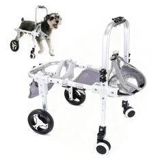 中古】小型犬4輪 リハビリ 食事補助 犬用車椅子 床ずれ防止 犬の歩行器