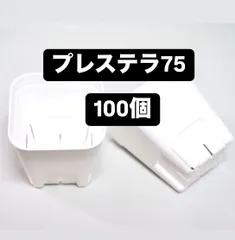 プレステラ75 白 100個　スリット鉢 プラ鉢 多肉植物のサムネイル