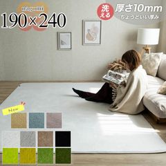 定価2.9万 FLYMEe掲載 パール 190×240 洗えるラグ#117039 - メルカリ
