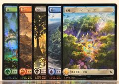 MTG チョコボトラックfoil 基本土地5種 英語版 - メルカリ