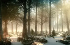 にぃ様専用ページ電球色70個24VBA9S